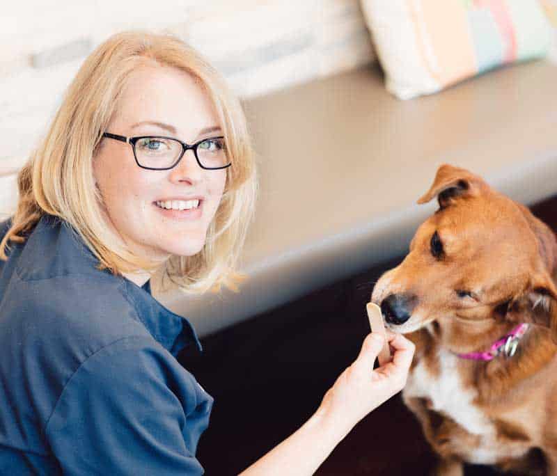 Best-Veterinarian-Longmont-crp