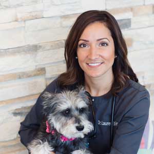 pet-hospital-longmont-Dr.Steiner